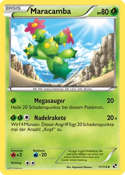 Maractus