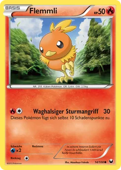 Torchic
