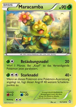 Maractus