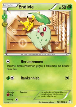 Chikorita