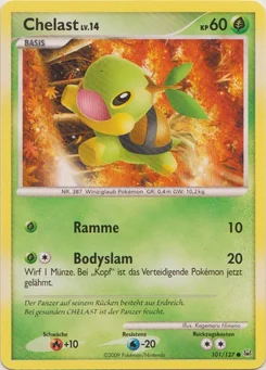 Turtwig