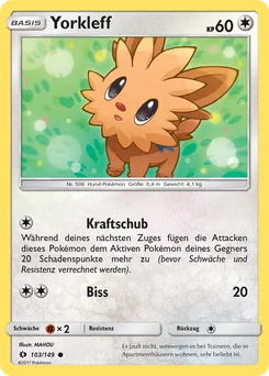 Lillipup