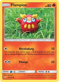Darumaka