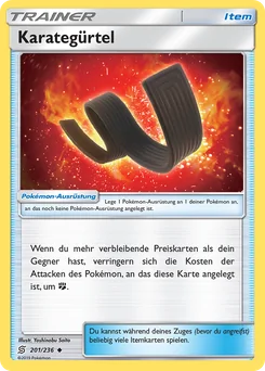 Karategürtel