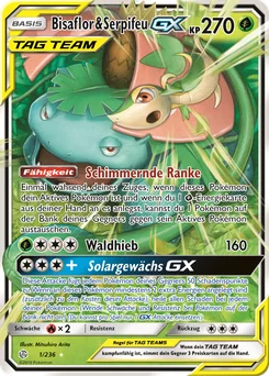 Venusaur & Snivy-GX
