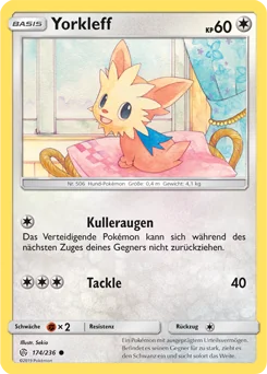 Lillipup