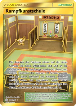 Martial Arts Dojo