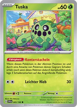 Cacnea