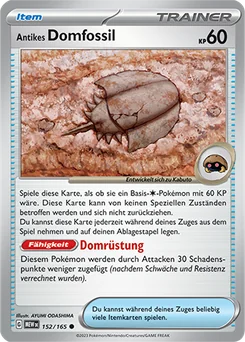 Antique Dome Fossil