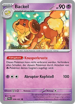 Dachsbun