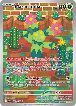 Maractus