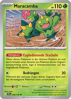 Maractus