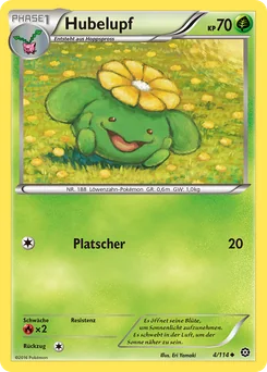 Skiploom