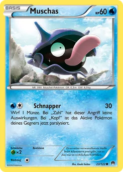 Shellder