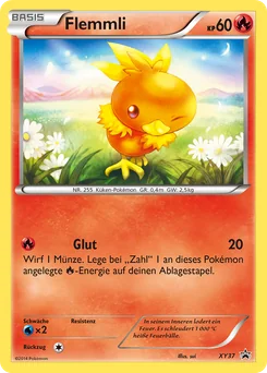 Torchic