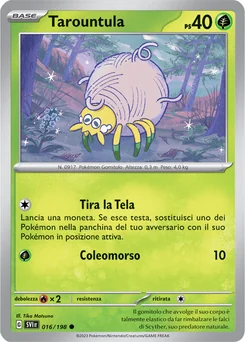 Tarountula — Normal