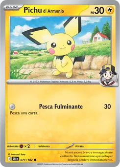 Ethan's Pichu — Normal
