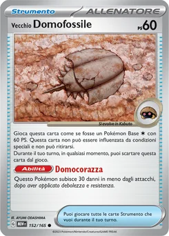 Antique Dome Fossil — Normal