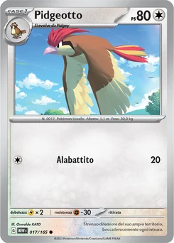 Pidgeotto — Normal