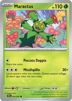 Maractus — Normal