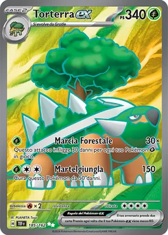 Torterra ex — Holofoil