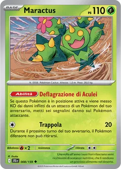Maractus — Normal