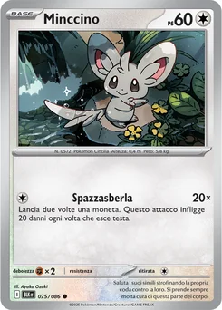Minccino — Normal