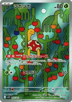 Shuckle — Holofoil