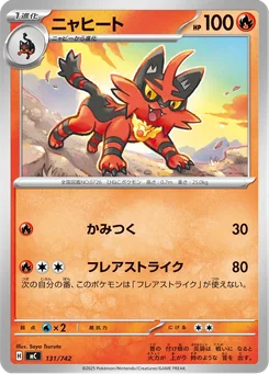 Torracat — Normal