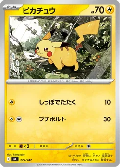 Pikachu — Normal
