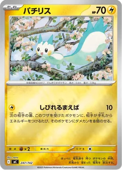 Pachirisu — Normal