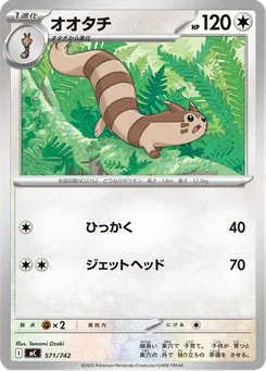 Furret — Normal