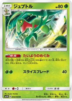 Grovyle — Normal