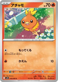 Torchic — Normal