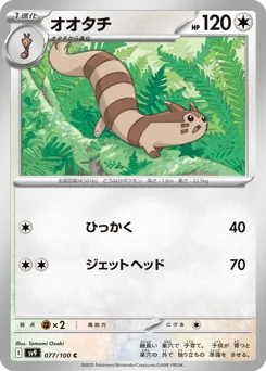 Furret — Normal