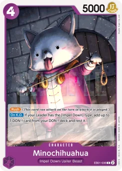 Minochihuahua — Normal