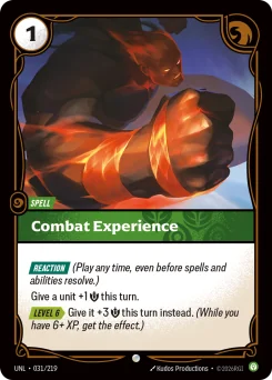 Combat Experience — Normal
