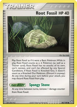 Root Fossil