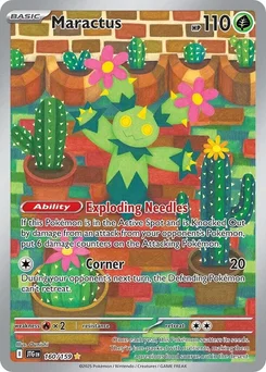 Maractus