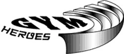 Gym Heroes set logo